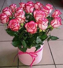 Коробка M (В=21см, Ш=20см), rose 17 шт (60см), лента