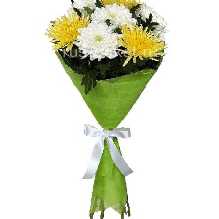 Chrysanthemum, wrapping