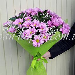 хризантема 7 шт, зелень, упаковка