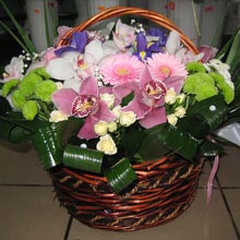 Корзина L, цимбидиум 5шт, гербера 3шт, хриз. 5шт, ирис 4шт, альстр. 3шт, зелень