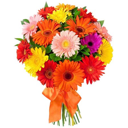 Gerbera, greenery