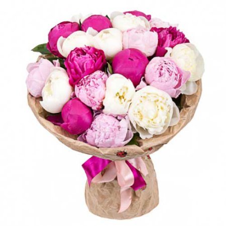 Peony, wrapping