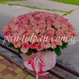 Box XXL, 101 rose