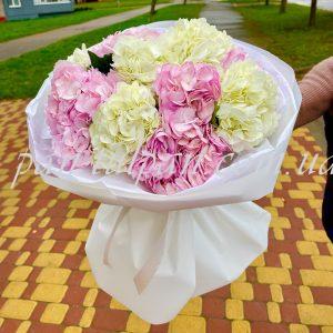 hydrangea 11 pcs, wrapping