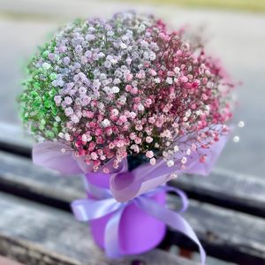 gypsophila 5 pcs, box