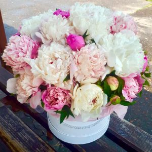 peony 25 pcs, box