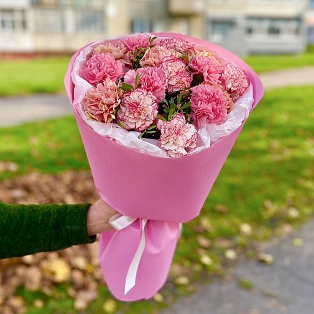 15 диантусов, упаковка