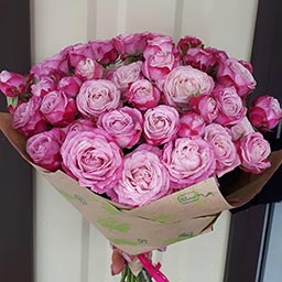 peony rose 15 шт, упаковка