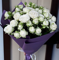 peony rose 9 шт, упаковка