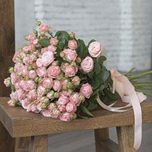 Мадам Бомбастик