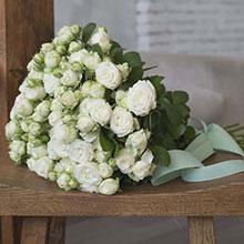 Мисс Бомбастик