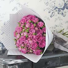 роза пионов. 25 шт, упаковка