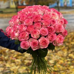 троянда 51 шт (Джумілія, 50 см), лента