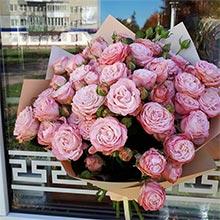 роза пионов. 13 шт, упаковка