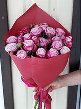 роза пионов. 7 шт, упаковка