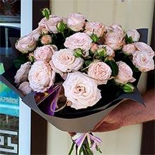 роза пионов. 9 шт, упаковка