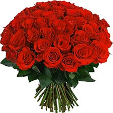 rose 51 шт (50 см)