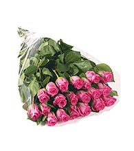 троянда 21 шт (50 см), целофан