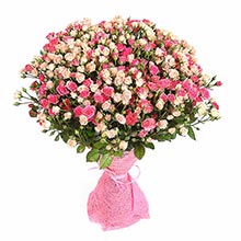 bush rose 21 шт (50 см), упаковка